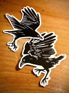 ‘11 & 2 o’clock crows’